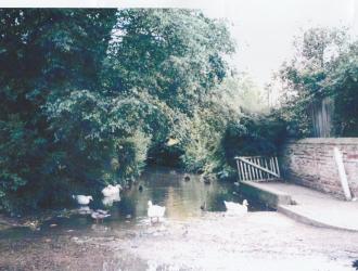 Ducks at the Splash 1970s