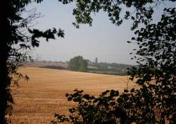 Distant view of Kersey across fields